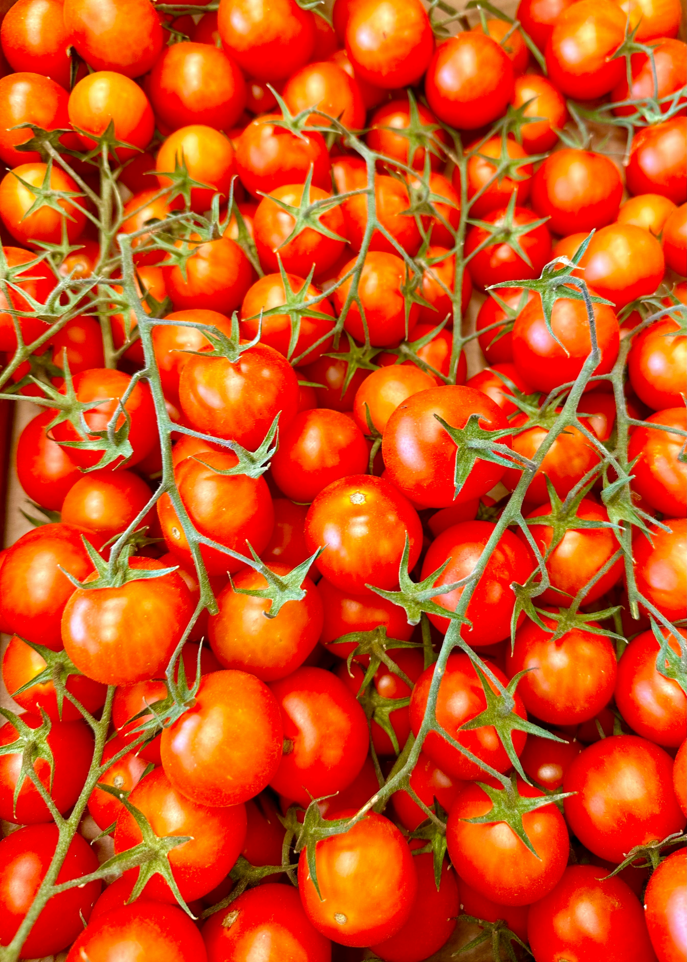 The Benefits of Vitamin D & How to Get It